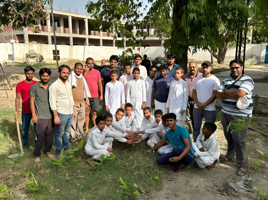 Tree Plantation Drive