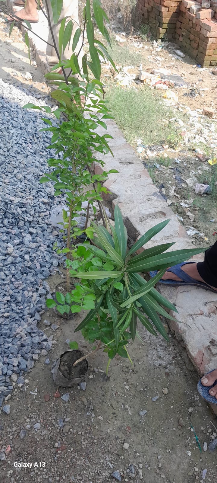 Ganga River Cleaning